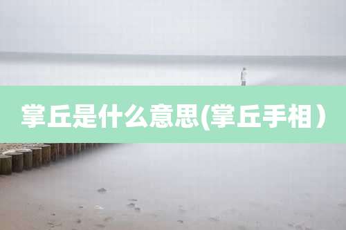 掌丘是什么意思(掌丘手相)