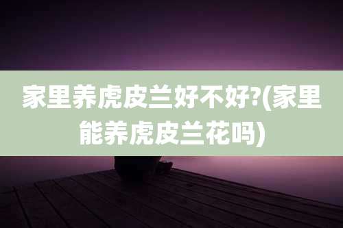 家里养虎皮兰好不好?(家里能养虎皮兰花吗)