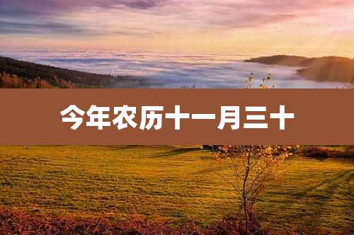今年农历十一月三十