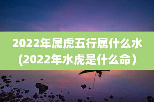 2022年属虎五行属什么水(2022年水虎是什么命）