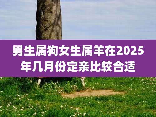 男生属狗女生属羊在2025年几月份定亲比较合适
