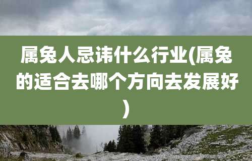 属兔人忌讳什么行业(属兔的适合去哪个方向去发展好)