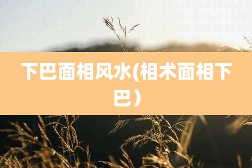 下巴面相风水(相术面相下巴）