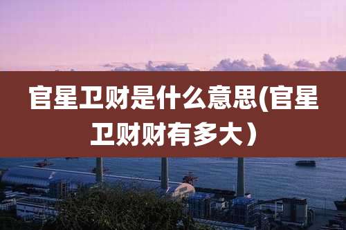官星卫财是什么意思(官星卫财财有多大）