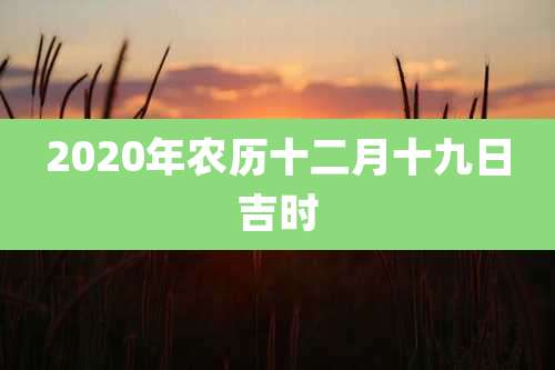 2020年农历十二月十九日吉时