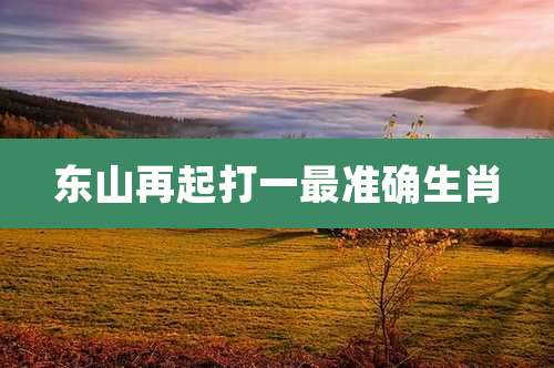 东山再起打一最准确生肖