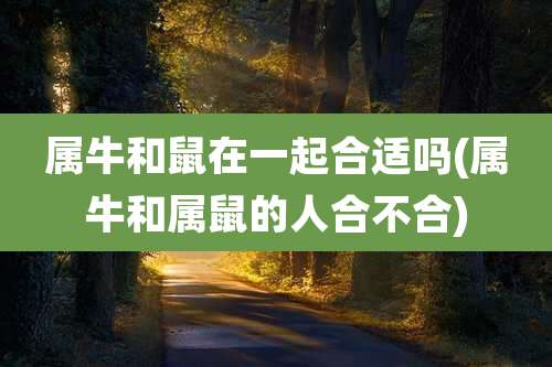 属牛和鼠在一起合适吗(属牛和属鼠的人合不合)