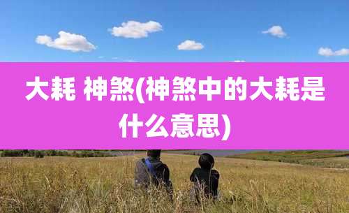 大耗 神煞(神煞中的大耗是什么意思)