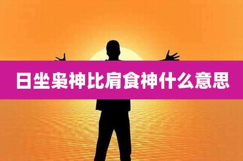 日坐枭神比肩食神什么意思