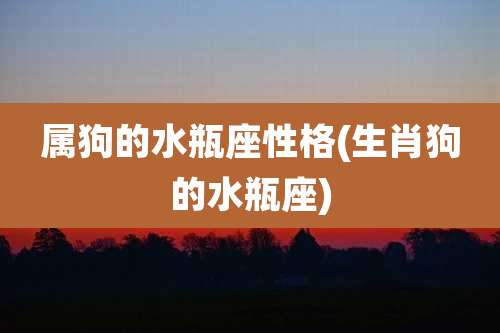 属狗的水瓶座性格(生肖狗的水瓶座)