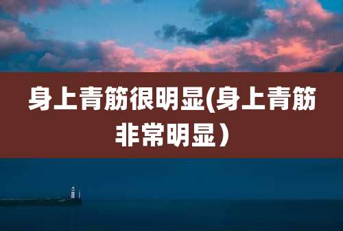 身上青筋很明显(身上青筋非常明显）