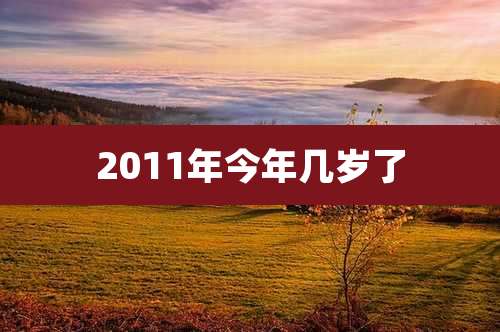 2011年今年几岁了