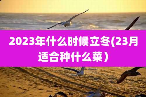 2023年什么时候立冬(23月适合种什么菜）