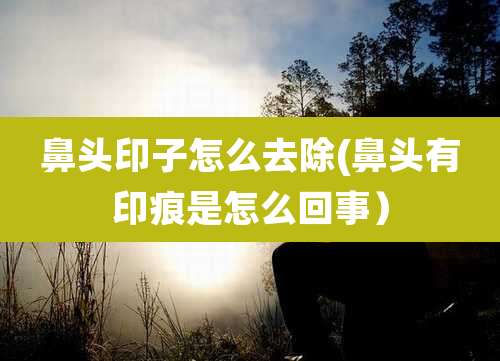 鼻头印子怎么去除(鼻头有印痕是怎么回事)