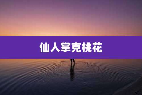 仙人掌克桃花