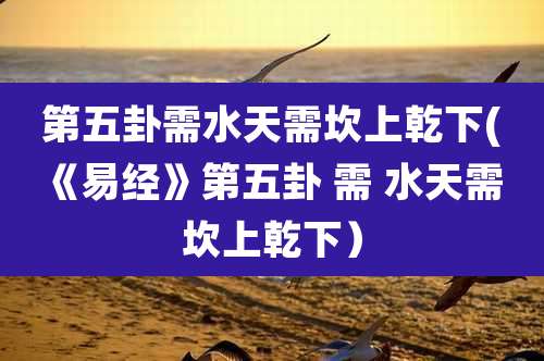 第五卦需水天需坎上乾下(《易经》第五卦 需 水天需 坎上乾下)