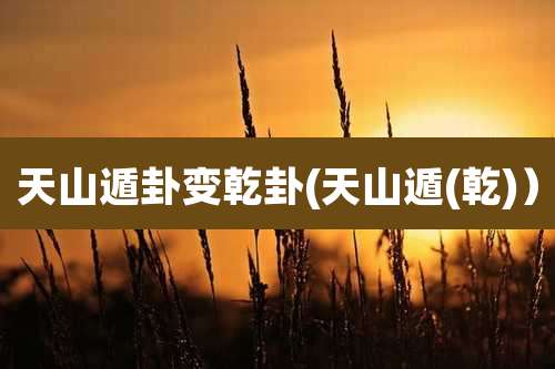 天山遁卦变乾卦(天山遁(乾))