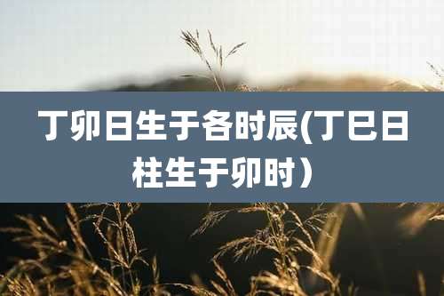 丁卯日生于各时辰(丁巳日柱生于卯时）