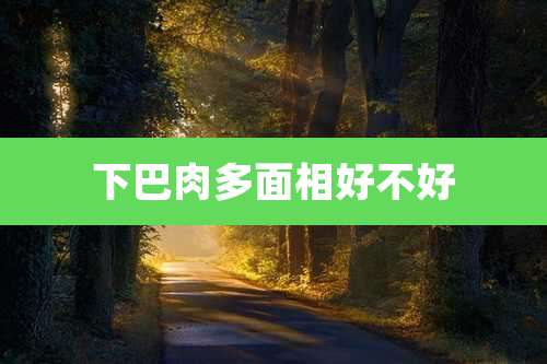 下巴肉多面相好不好