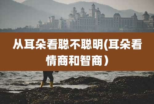 从耳朵看聪不聪明(耳朵看情商和智商)