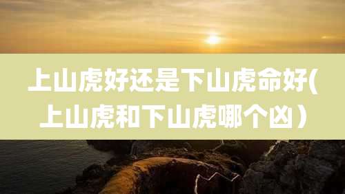 上山虎好还是下山虎命好(上山虎和下山虎哪个凶)