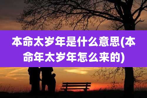 本命太岁年是什么意思(本命年太岁年怎么来的)