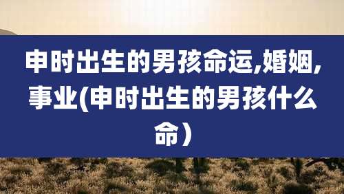 申时出生的男孩命运,婚姻,事业(申时出生的男孩什么命）