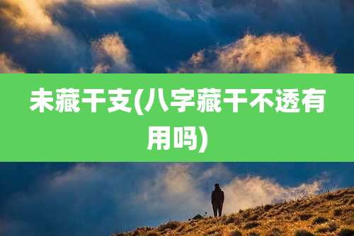 未藏干支(八字藏干不透有用吗)