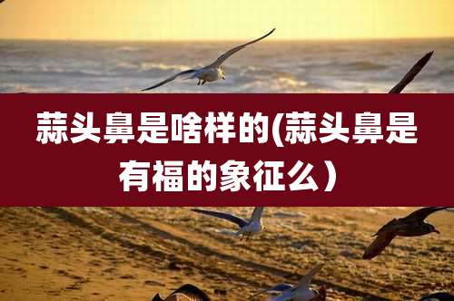 蒜头鼻是啥样的(蒜头鼻是有福的象征么）