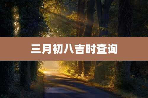 三月初八吉时查询