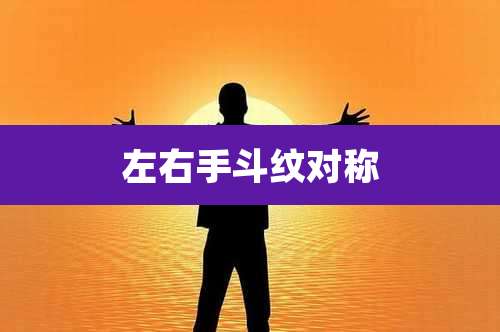 左右手斗纹对称