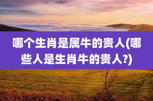 哪个生肖是属牛的贵人(哪些人是生肖牛的贵人?)