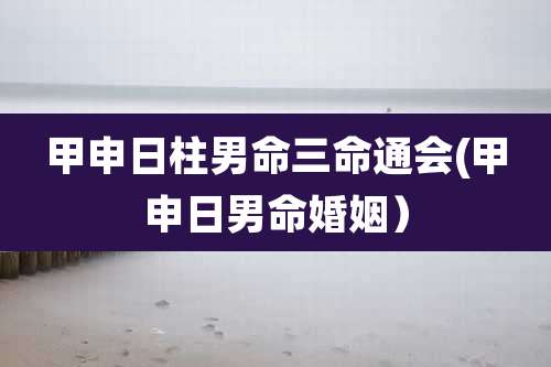 甲申日柱男命三命通会(甲申日男命婚姻）