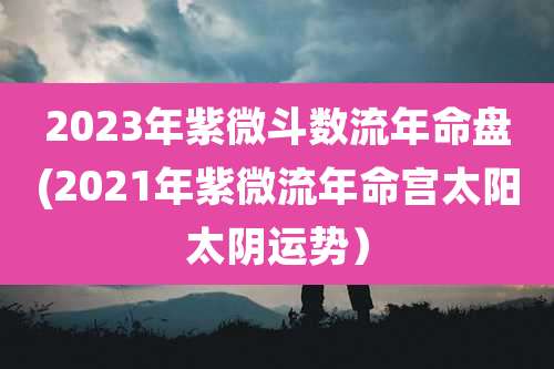 2023年紫微斗数流年命盘(2021年紫微流年命宫太阳太阴运势)