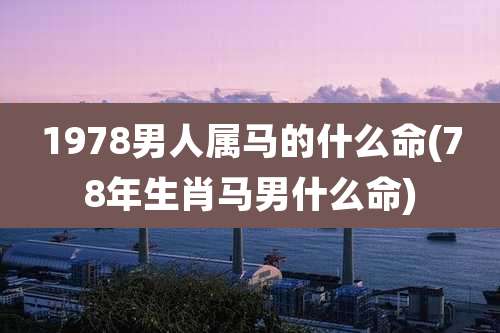 1978男人属马的什么命(78年生肖马男什么命)