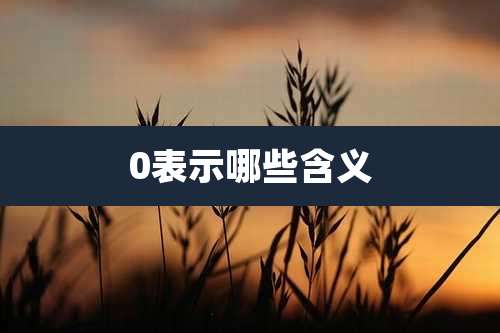 0表示哪些含义