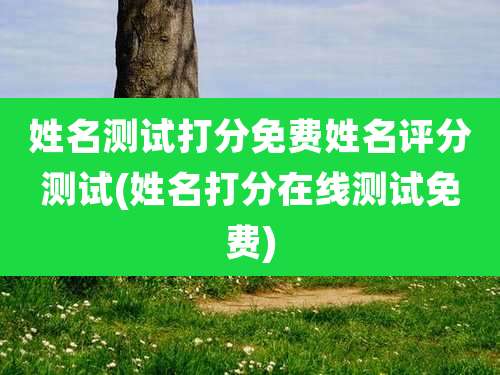 姓名测试打分免费姓名评分测试(姓名打分在线测试免费)
