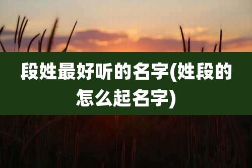 段姓最好听的名字(姓段的怎么起名字)