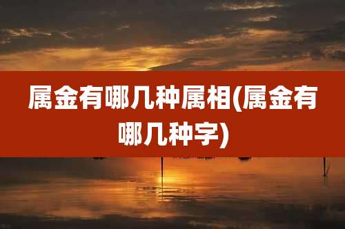 属金有哪几种属相(属金有哪几种字)