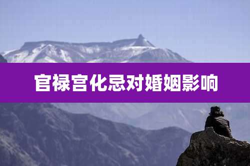 官禄宫化忌对婚姻影响