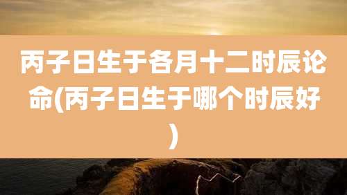 丙子日生于各月十二时辰论命(丙子日生于哪个时辰好)