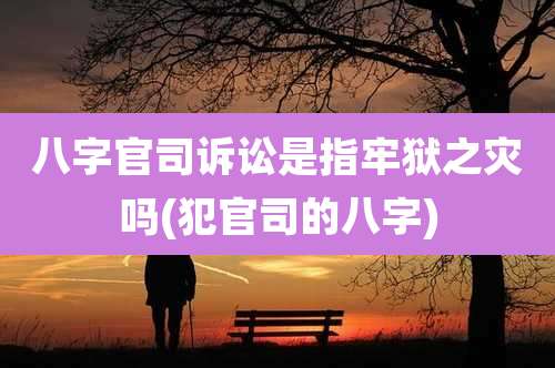 八字官司诉讼是指牢狱之灾吗(犯官司的八字)