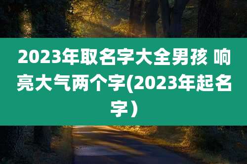 2023年取名字大全男孩 响亮大气两个字(2023年起名字）