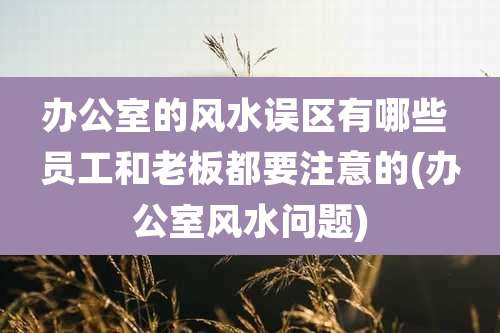 办公室的风水误区有哪些 员工和老板都要注意的(办公室风水问题)