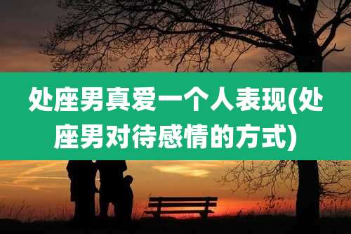 处座男真爱一个人表现(处座男对待感情的方式)