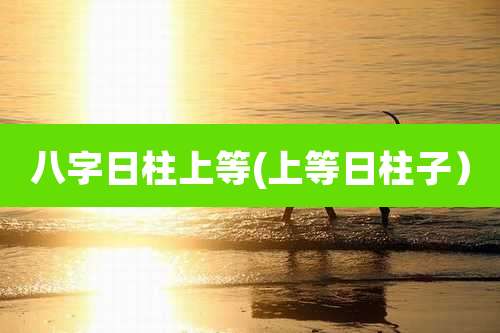 八字日柱上等(上等日柱子)