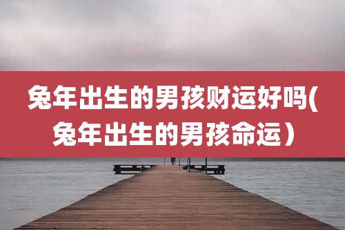 兔年出生的男孩财运好吗(兔年出生的男孩命运）
