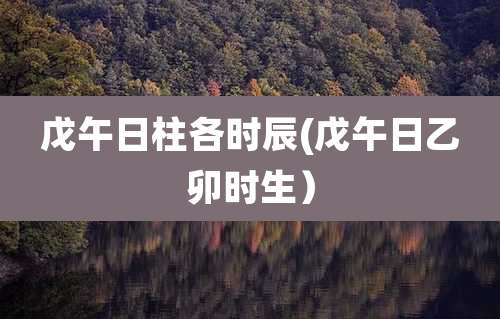 戊午日柱各时辰(戊午日乙卯时生）