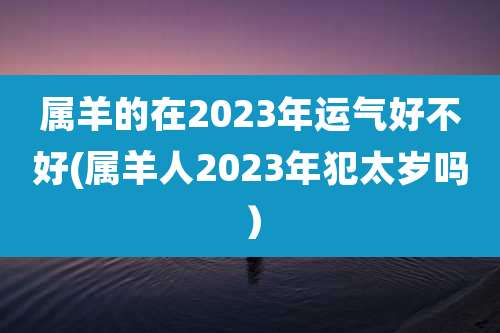 属羊的在2023年运气好不好(属羊人2023年犯太岁吗）