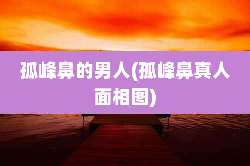 孤峰鼻的男人(孤峰鼻真人面相图)